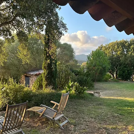 Casa Olea فندق مبيت وإفطار 3*