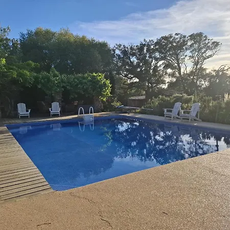Casa Olea فندق مبيت وإفطار Sartène